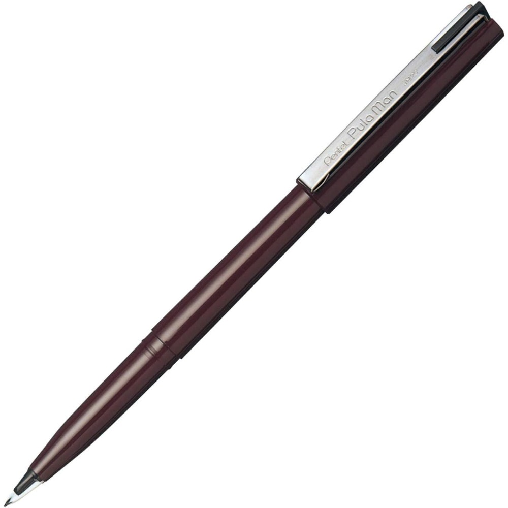 1 unidad de bolígrafo de dibuj - Pentel Pen Sign Pen reseña y precio